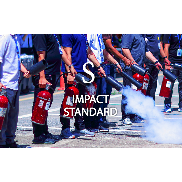 IMPact Standard